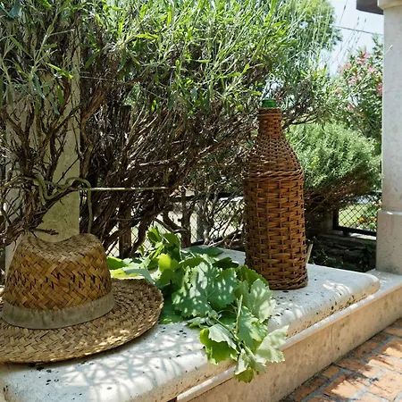 House Zatka By Rent Istria Casa vacanze *