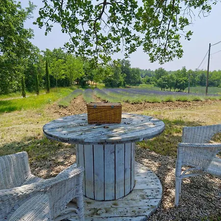 House Zatka By Rent Istria *