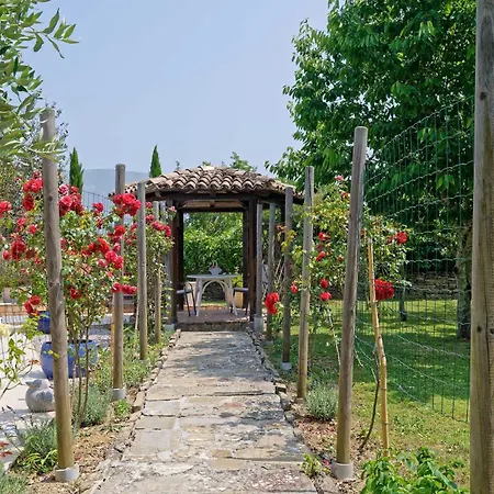Сasa de vacaciones House Zatka By Rent Istria *